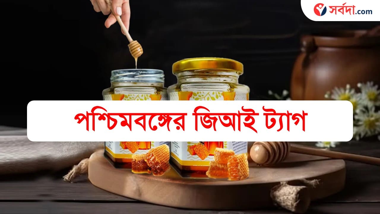 West bengal GI Tag Products 2024